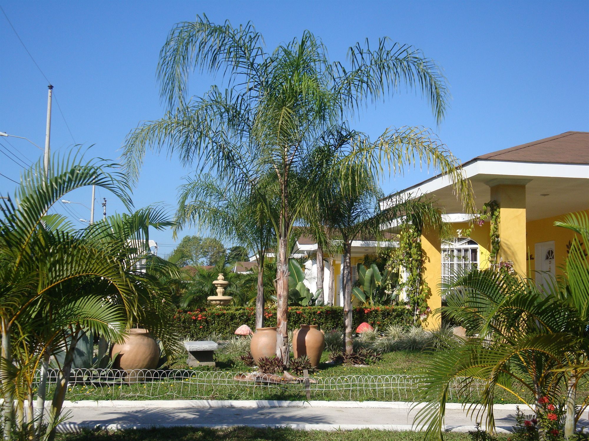 Hotel Palma Real Sambo Creek 外观 照片