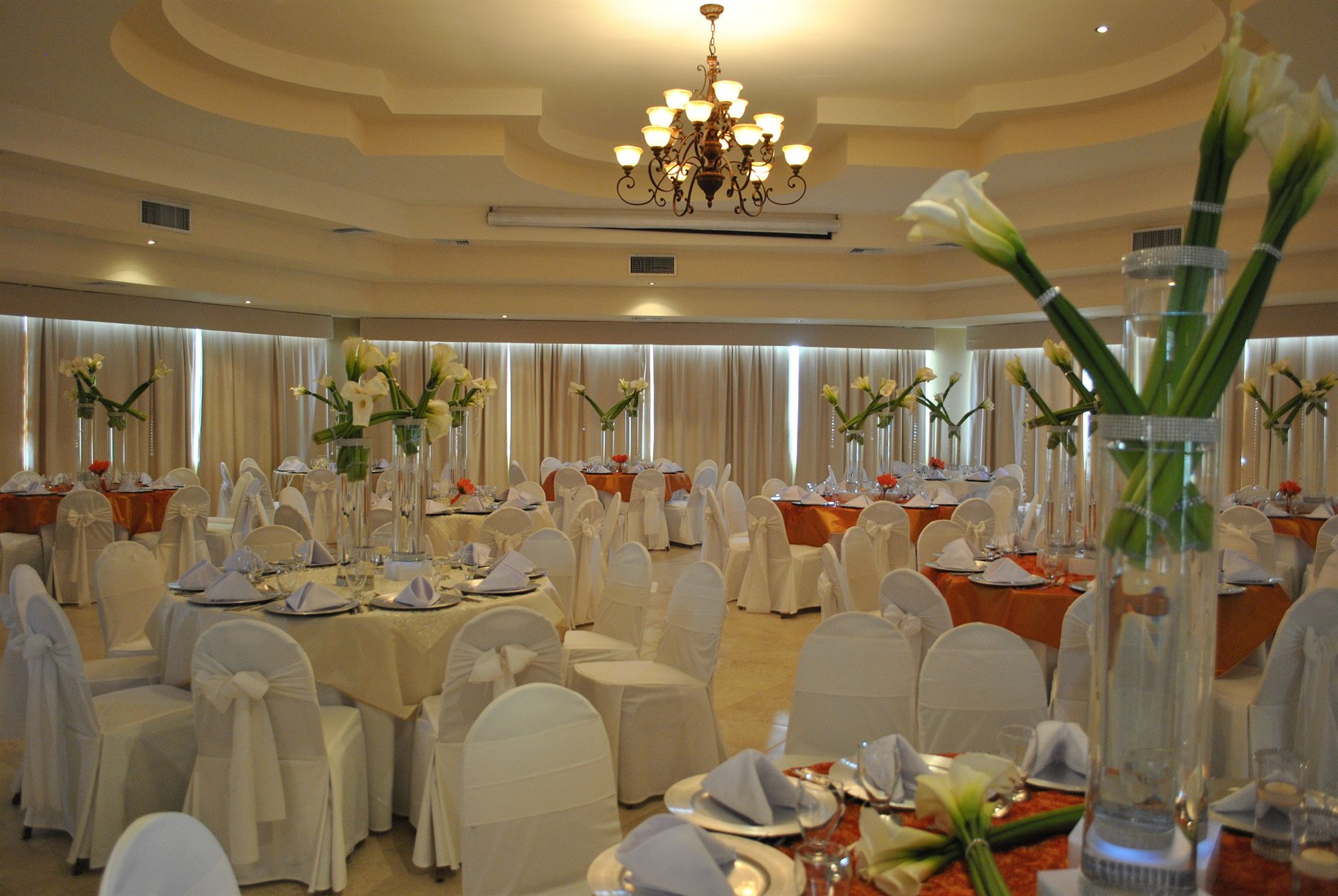 Hotel Palma Real Sambo Creek 外观 照片